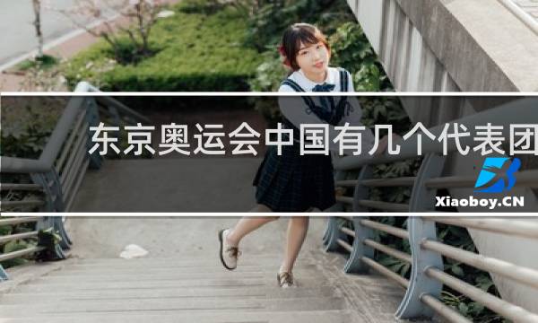 东京奥运会中国有几个代表团