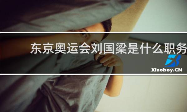 东京奥运会刘国梁是什么职务