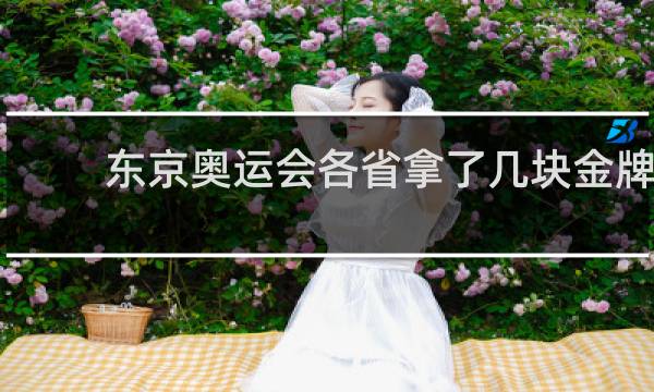 东京奥运会各省拿了几块金牌