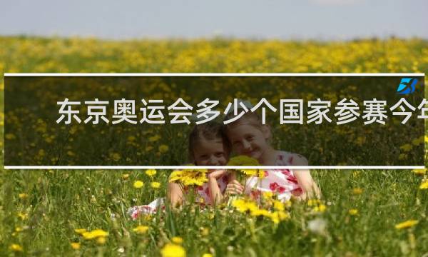东京奥运会多少个国家参赛今年