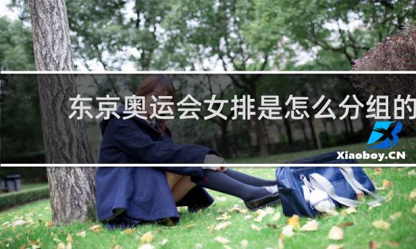 东京奥运会女排是怎么分组的