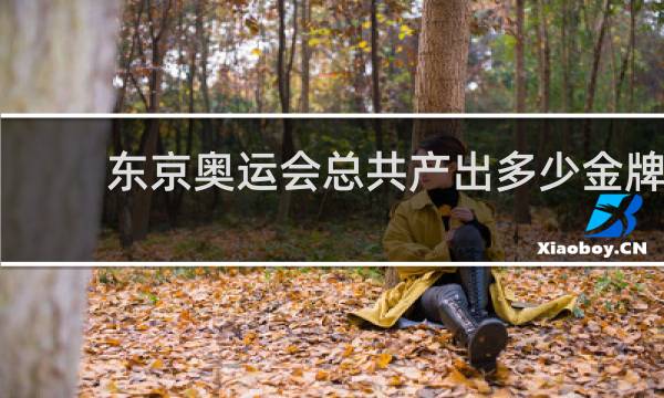 东京奥运会总共产出多少金牌