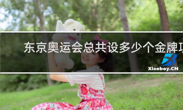 东京奥运会总共设多少个金牌项目