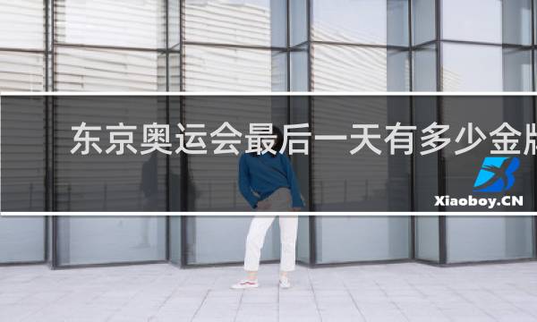 东京奥运会最后一天有多少金牌