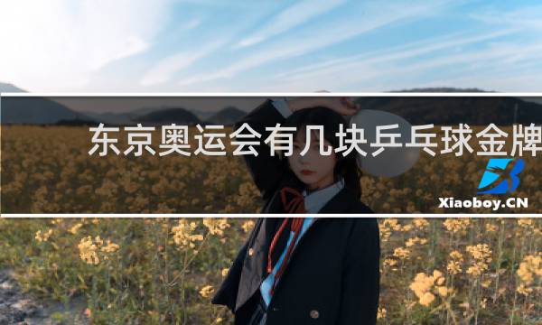 东京奥运会有几块乒乓球金牌