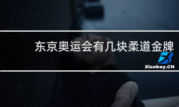 东京奥运会有几块柔道金牌