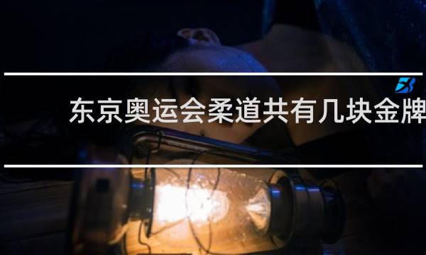 东京奥运会柔道共有几块金牌