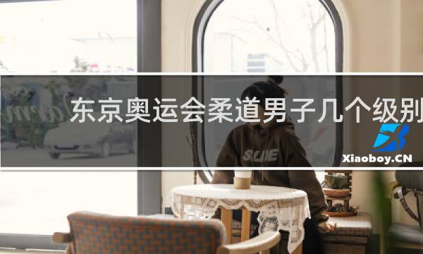 东京奥运会柔道男子几个级别