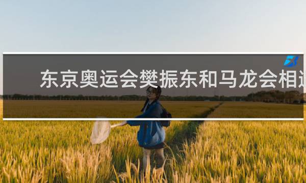 东京奥运会樊振东和马龙会相遇吗