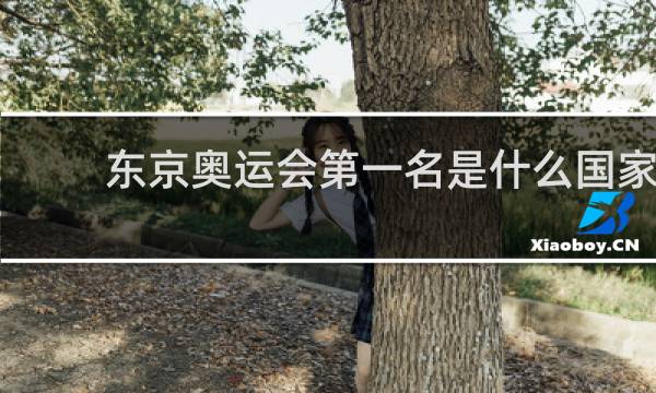 东京奥运会第一名是什么国家