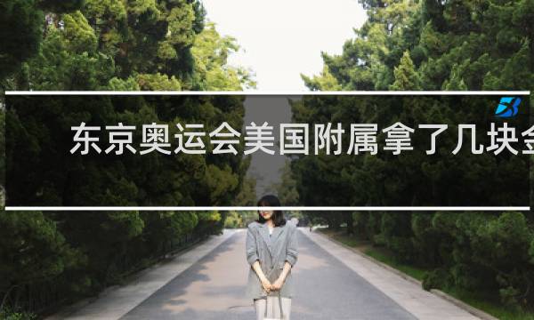 东京奥运会美国附属拿了几块金牌