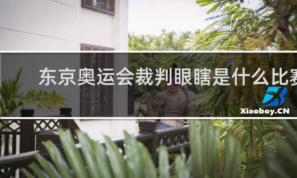 东京奥运会裁判眼瞎是什么比赛