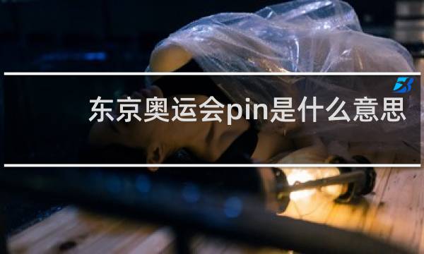 东京奥运会pin是什么意思