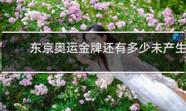 东京奥运金牌还有多少未产生