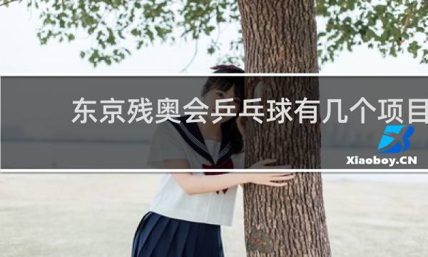 东京残奥会乒乓球有几个项目