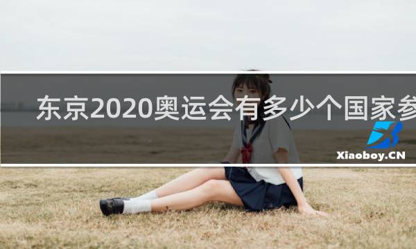 东京2020奥运会有多少个国家参加