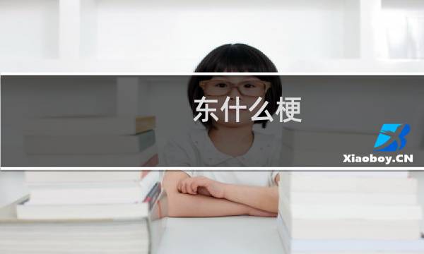 东什么梗