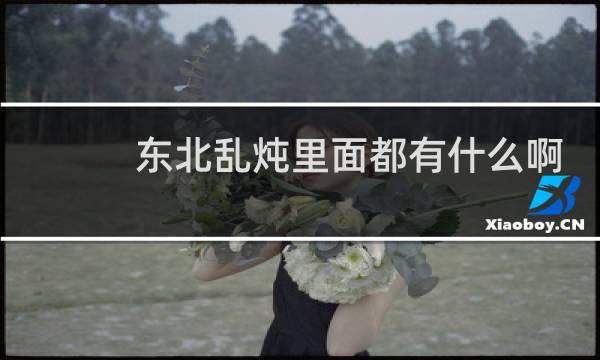 东北乱炖里面都有什么啊