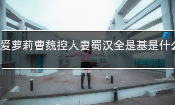 东吴爱萝莉曹魏控人妻蜀汉全是基是什么梗什么梗