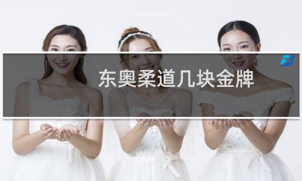 东奥柔道几块金牌