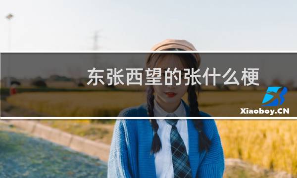 东张西望的张什么梗