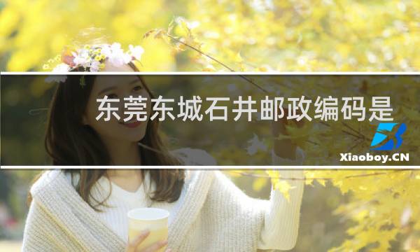 东莞东城石井邮政编码是多少