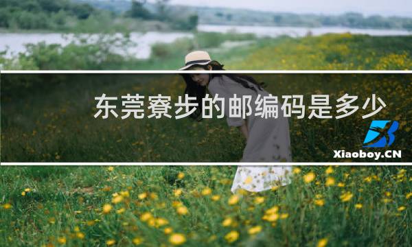 东莞寮步的邮编码是多少