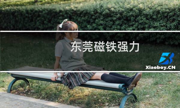 东莞磁铁强力