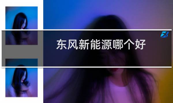 东风新能源哪个好