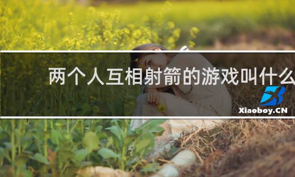 两个人互相射箭的游戏叫什么