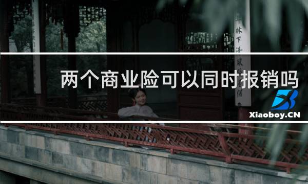 两个商业险可以同时报销吗图片