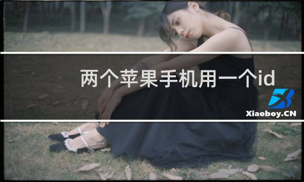 两个苹果手机用一个id怎么取消