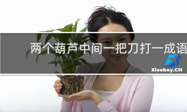 两个葫芦中间一把刀打一成语