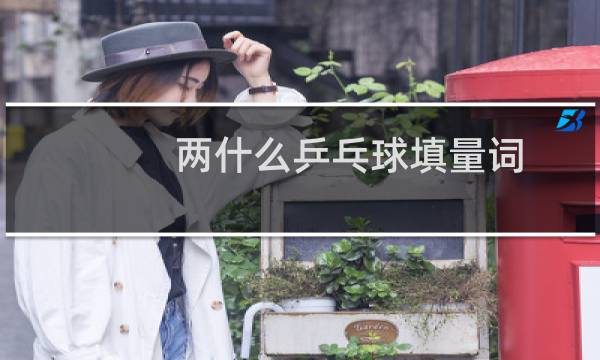 两什么乒乓球填量词