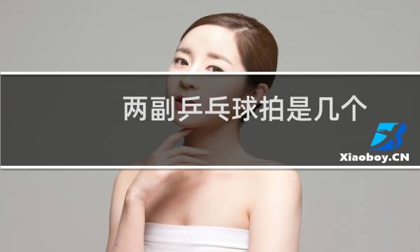 两副乒乓球拍是几个