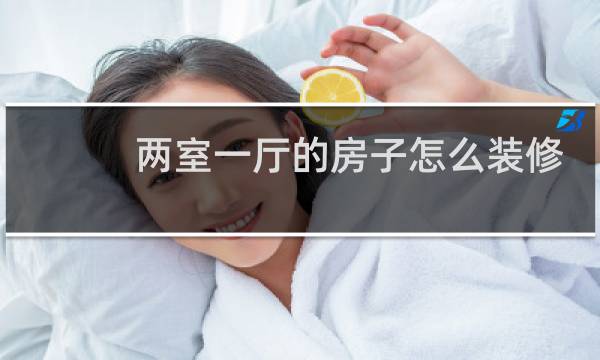 两室一厅的房子怎么装修好看图片