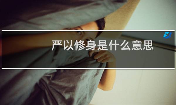 严以修身是什么意思（严以修身是什么意思，有什么具体的例子）