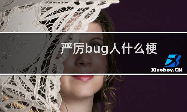 严厉bug人什么梗