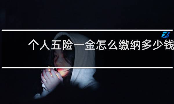 个人五险一金怎么缴纳多少钱