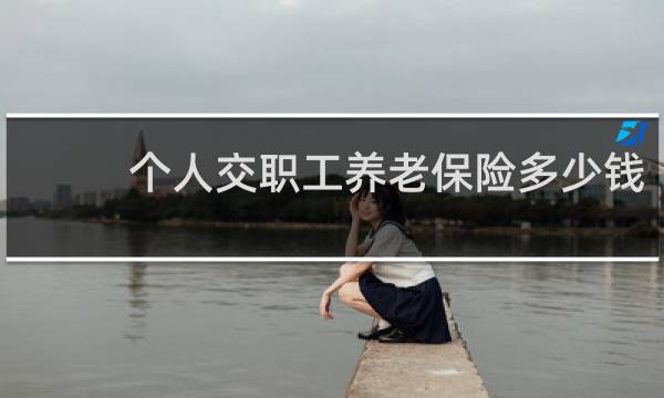 个人交职工养老保险多少钱