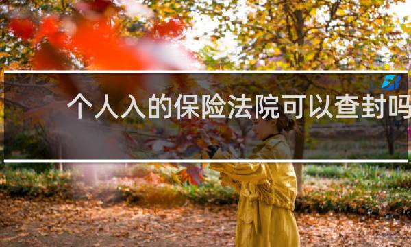个人入的保险法院可以查封吗