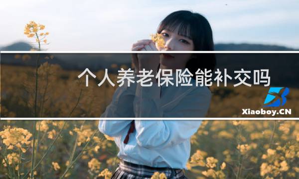 个人养老保险能补交吗