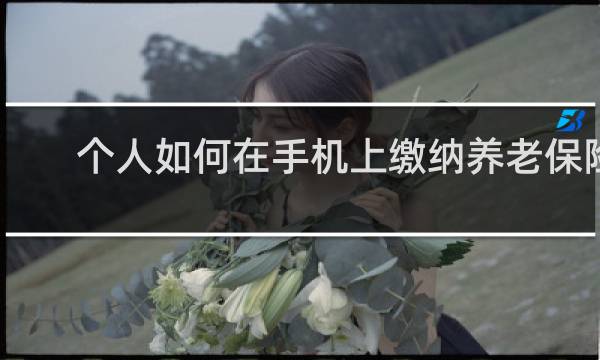 个人如何在手机上缴纳养老保险
