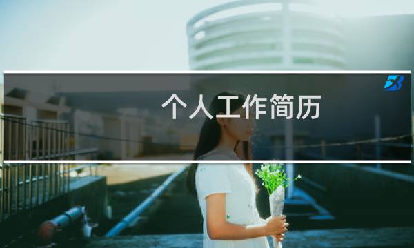 个人工作简历