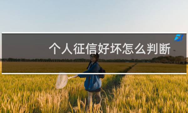 个人征信好坏怎么判断（个人征信好坏怎么看）图片