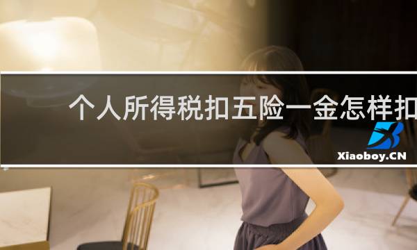 个人所得税扣五险一金怎样扣