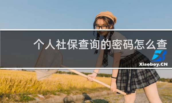 个人社保查询的密码怎么查