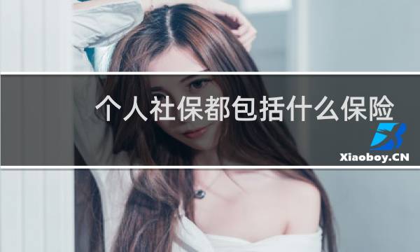个人社保都包括什么保险