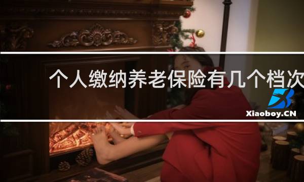 个人缴纳养老保险有几个档次