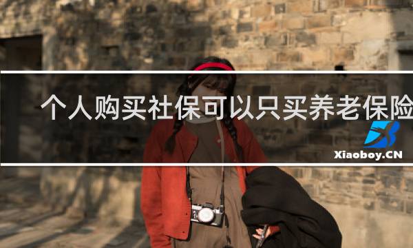 个人购买社保可以只买养老保险吗